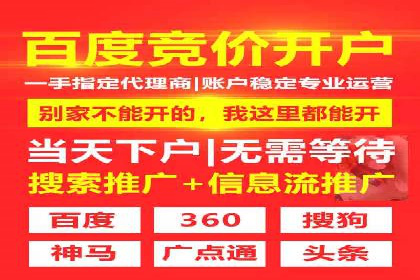 SEM专员必备技能与实战案例分享